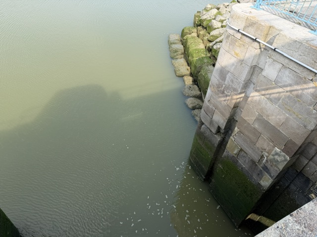 Stone harbour wall and algae tide line at the flushing lock, Le Crotoy